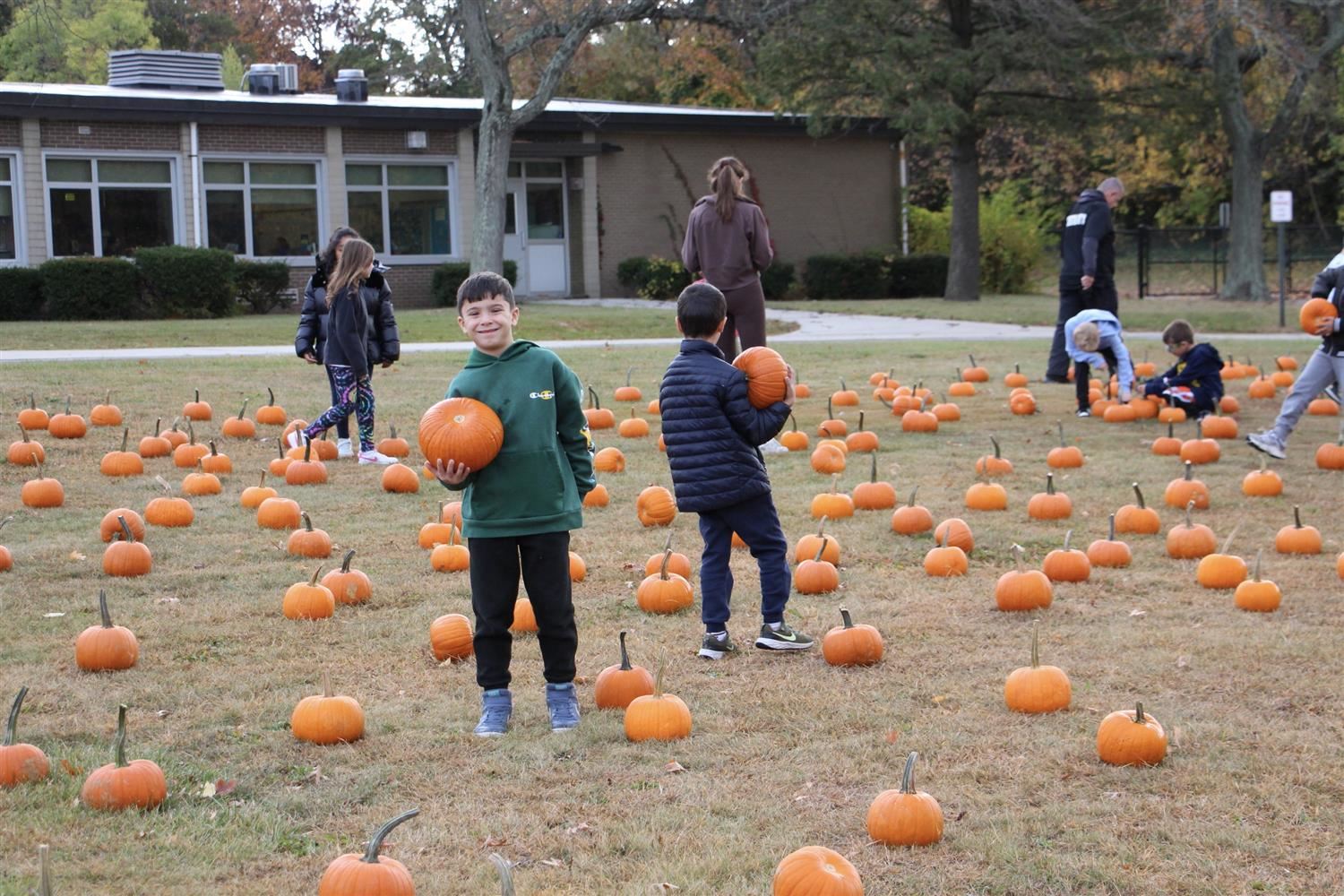  HH pumpkin boy